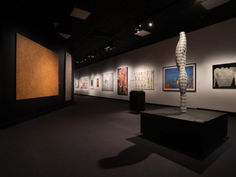 Museum and Art Gallery of the Northern Territory